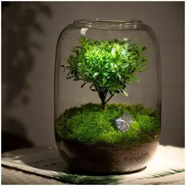 Micro Landscape Green Oasis Glass Vase