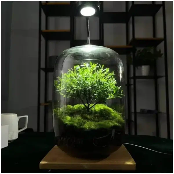 Micro Landscape Green Oasis Glass Vase - Image 3